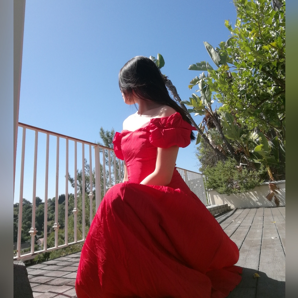 Crimson Red Rose Accents Ballgown